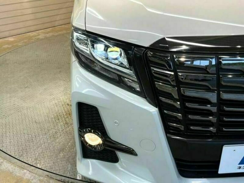 ALPHARD-13