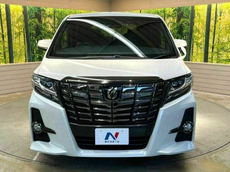 ALPHARD-14