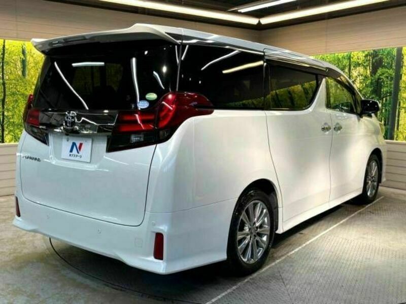 ALPHARD-17