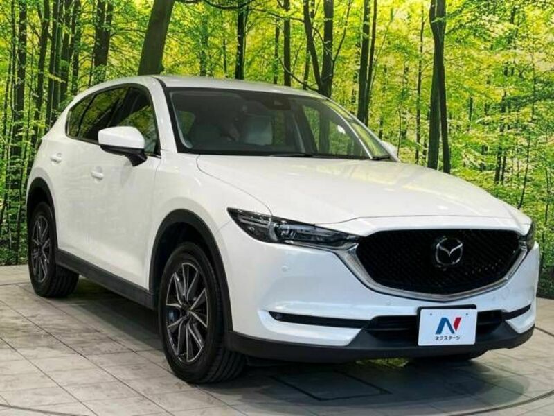 CX-5-17