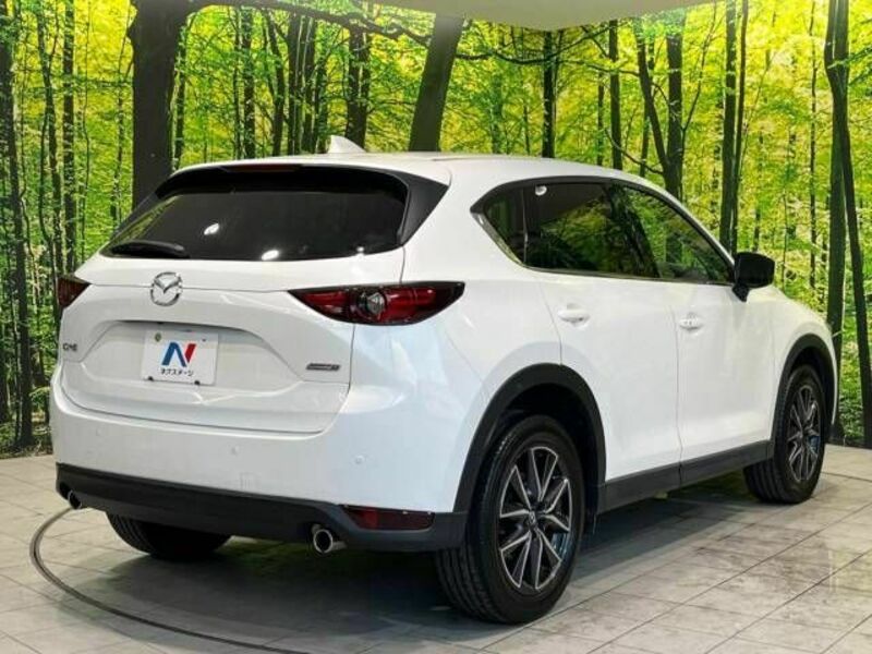 CX-5-18