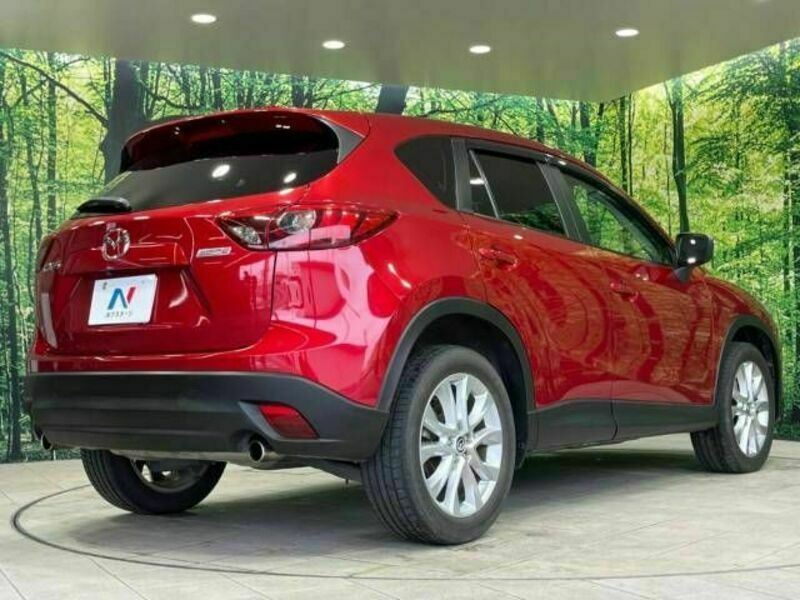 CX-5-17