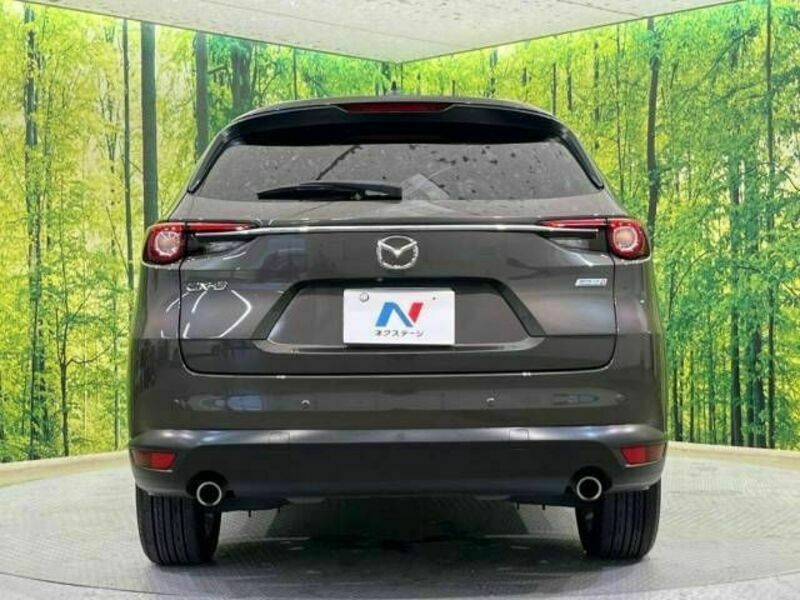 CX-8