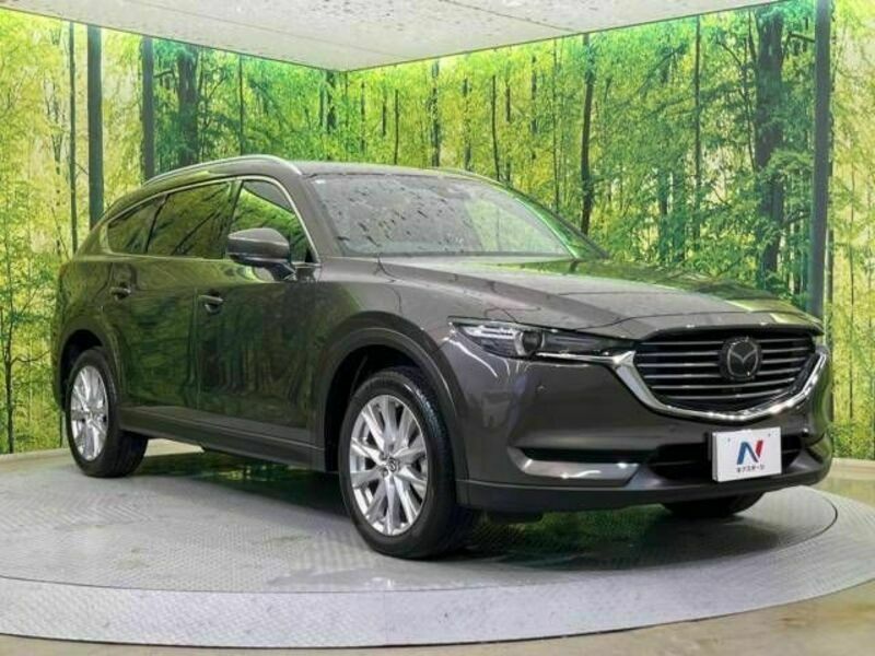 CX-8