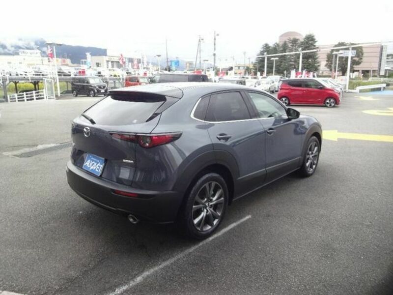 CX-30-1