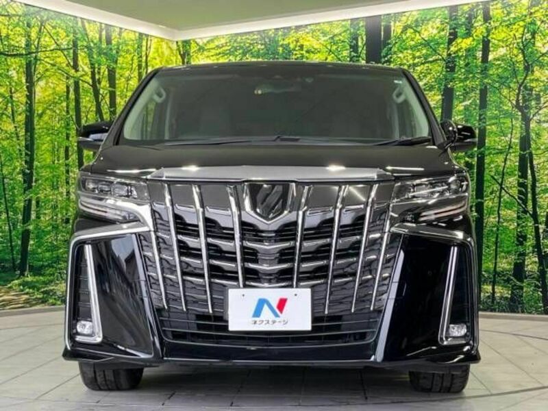 ALPHARD-15