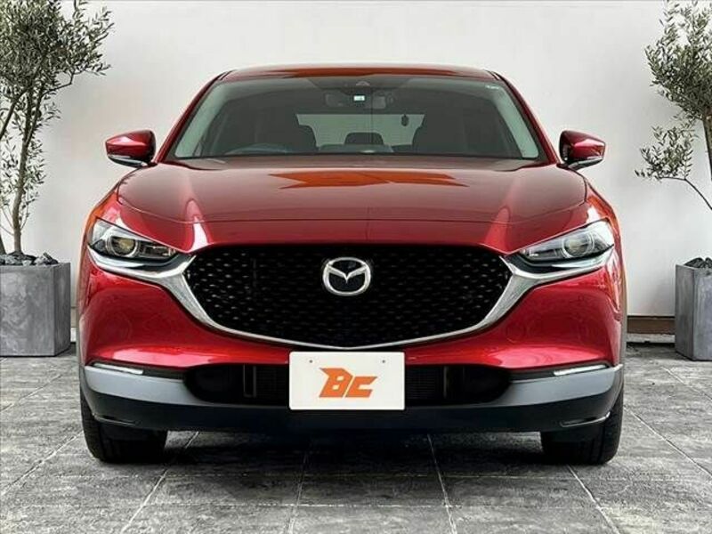 CX-30-8