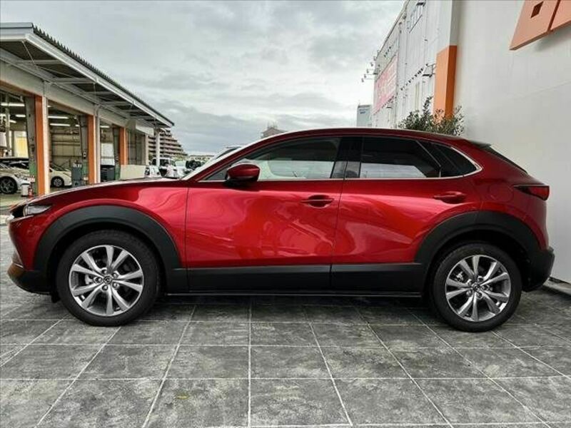 CX-30-10