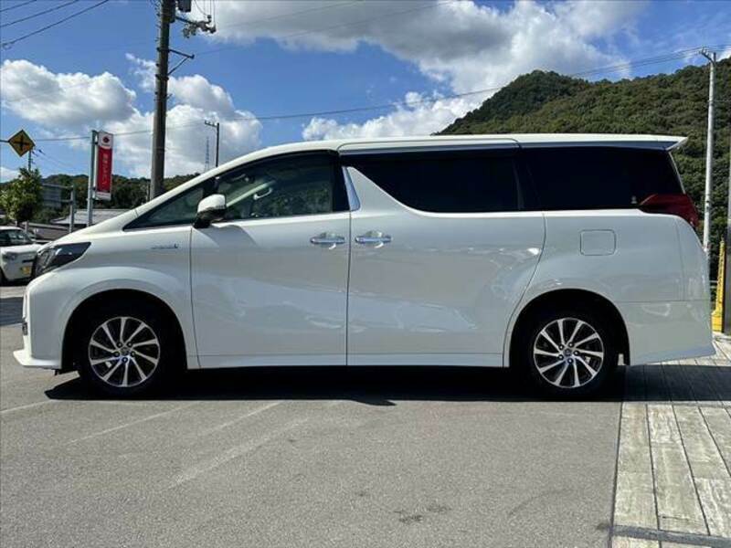 ALPHARD-10