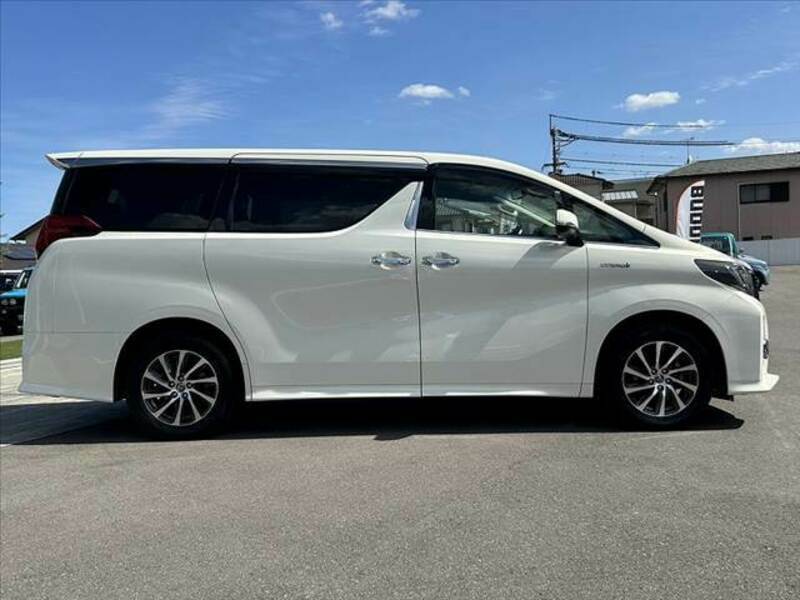 ALPHARD-11