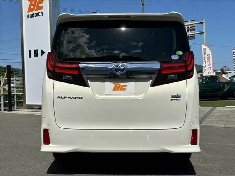 ALPHARD-13