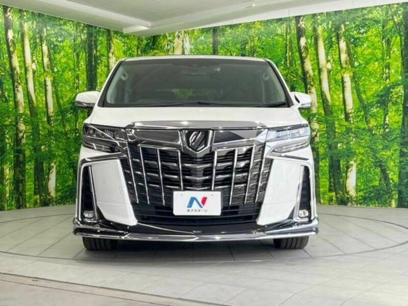 ALPHARD-15