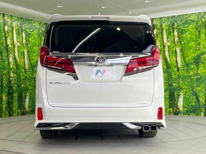 ALPHARD-16