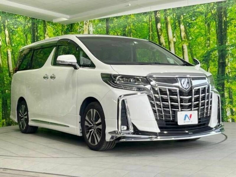 ALPHARD-17