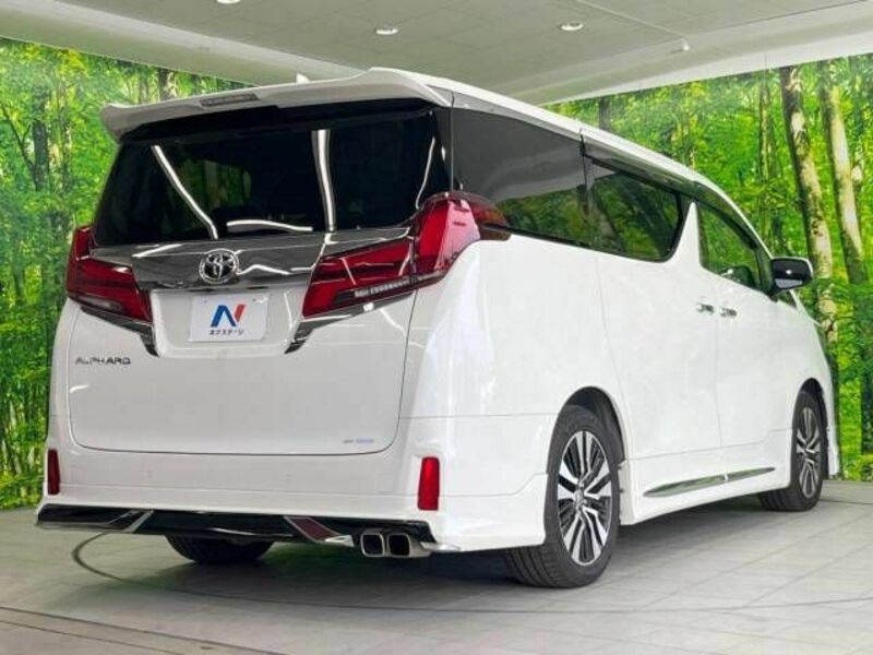 ALPHARD-18