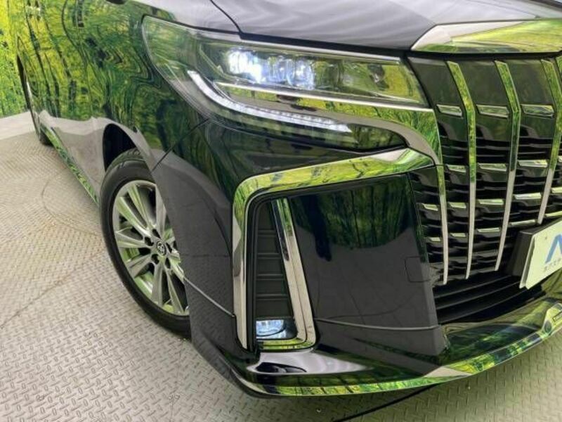 ALPHARD-13