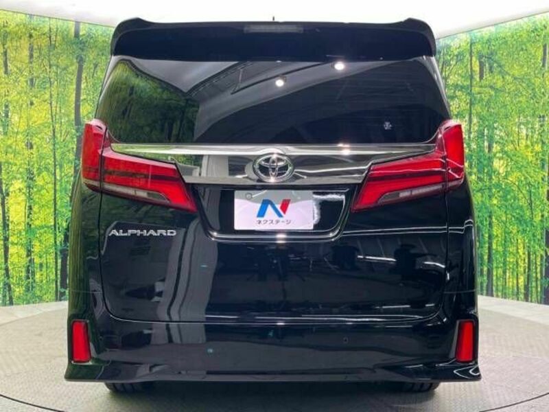 ALPHARD-16