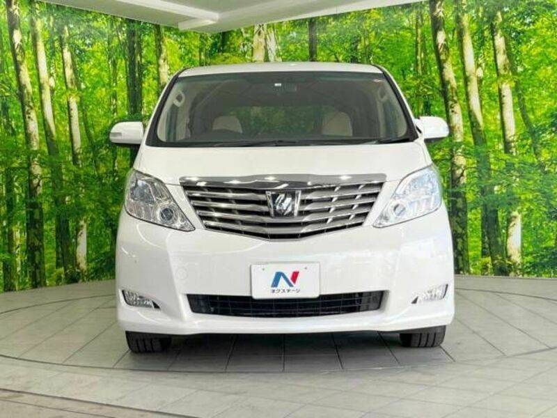 ALPHARD-15