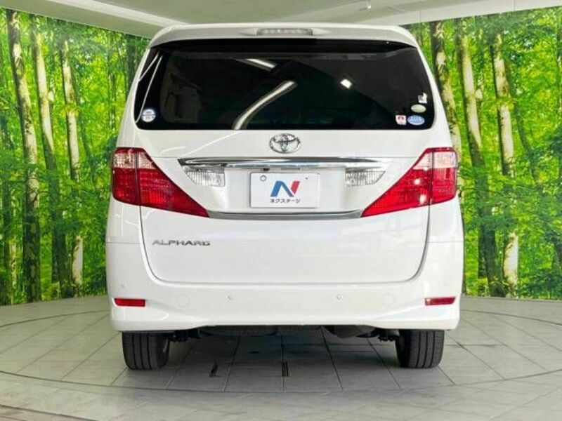 ALPHARD-16