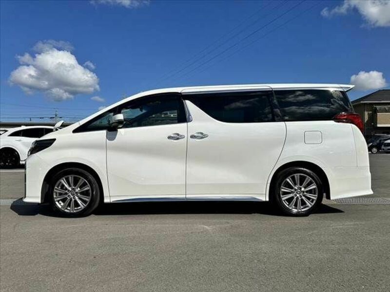 ALPHARD-10