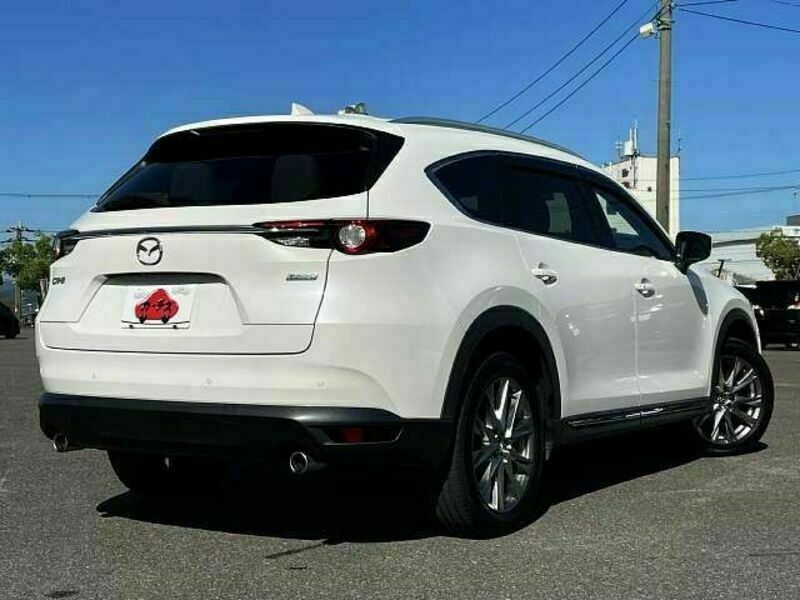 CX-8-2