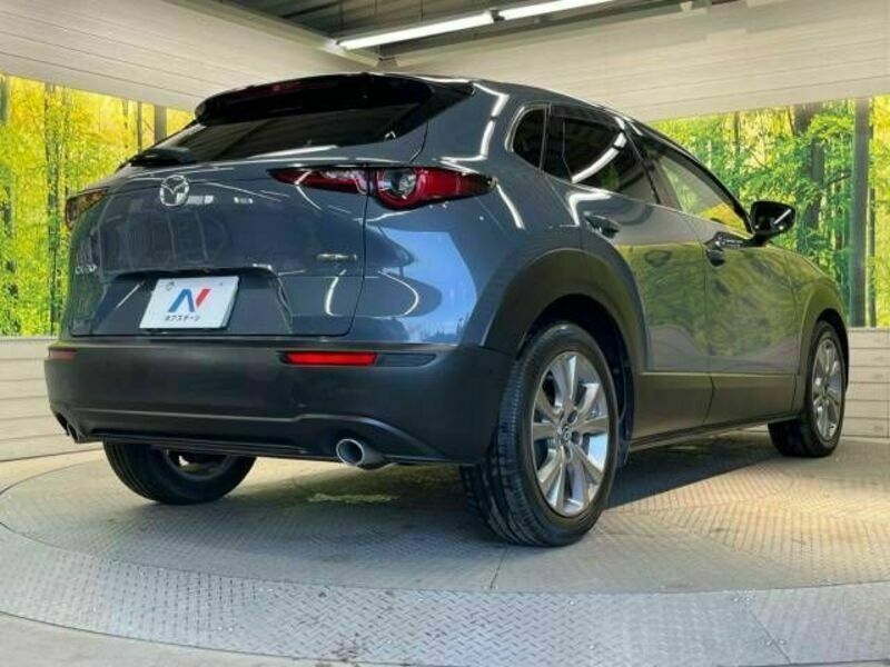 CX-30-16