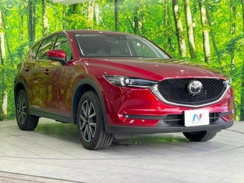 CX-5-16