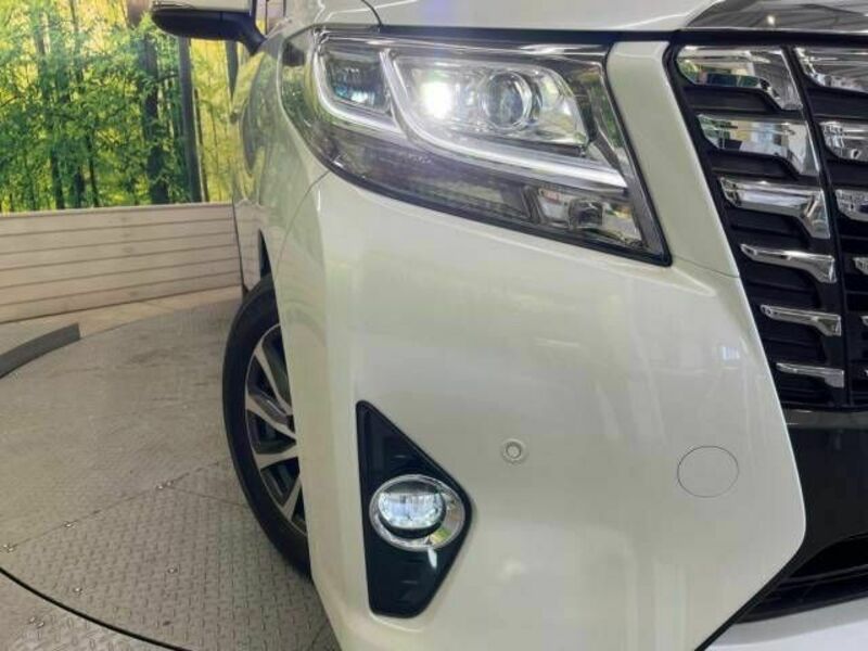 ALPHARD-13