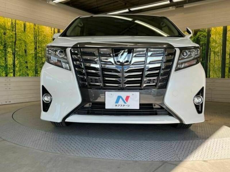 ALPHARD-15