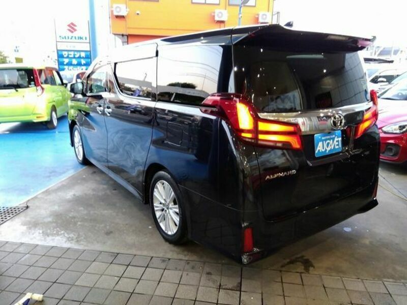 ALPHARD-1