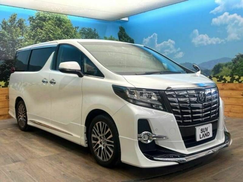 ALPHARD-17