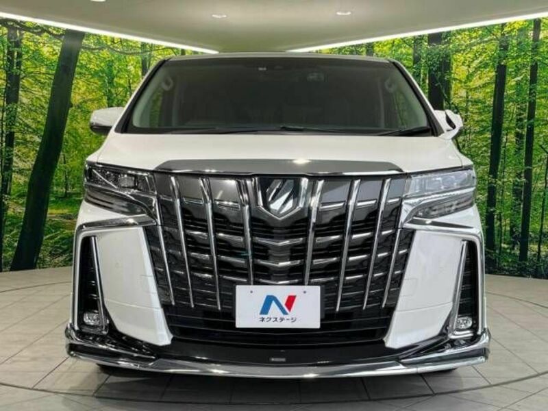 ALPHARD-15