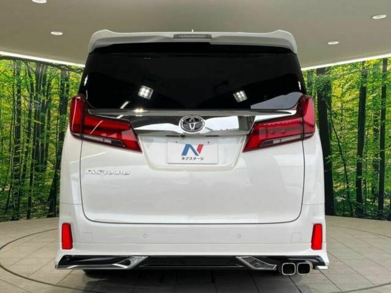 ALPHARD-16