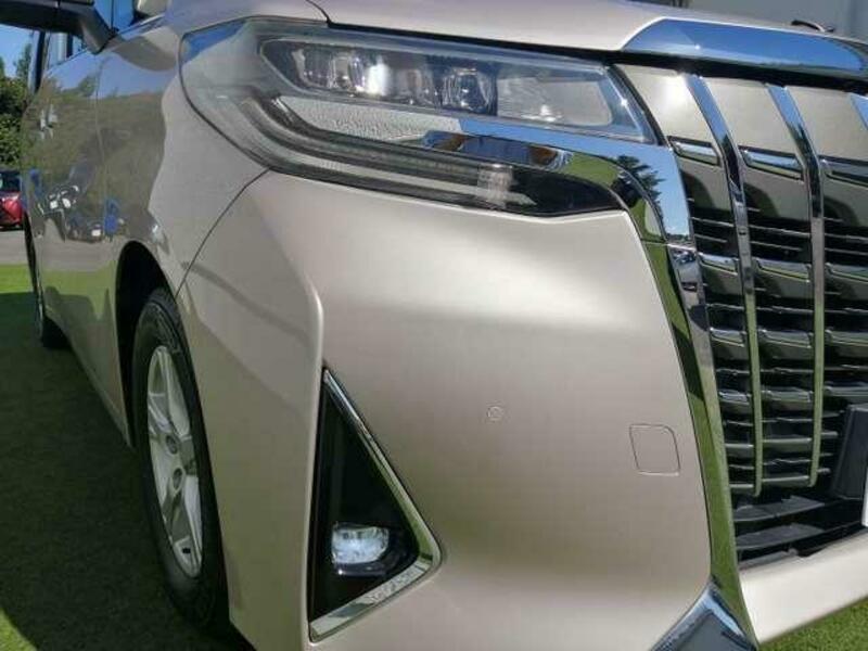 ALPHARD-18