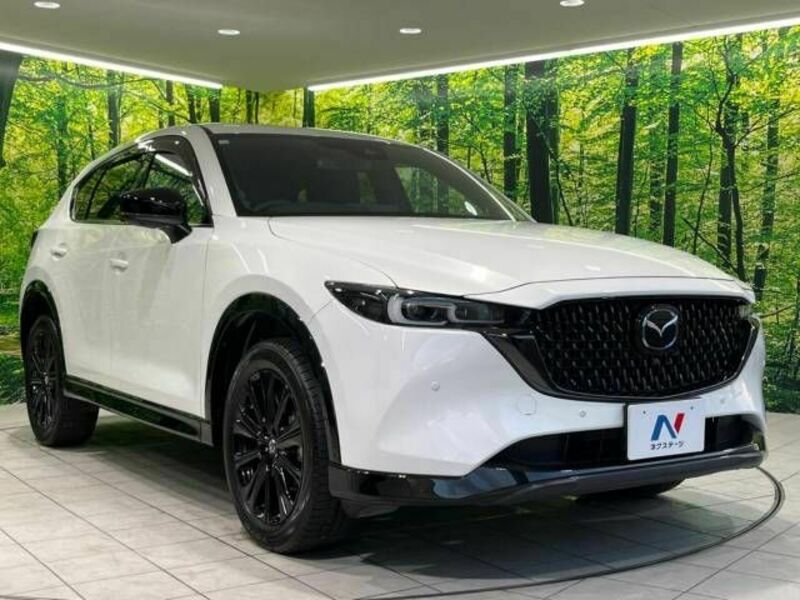 CX-5-16