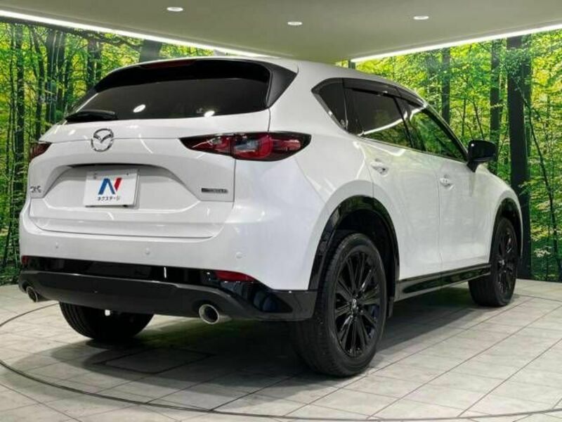 CX-5-17