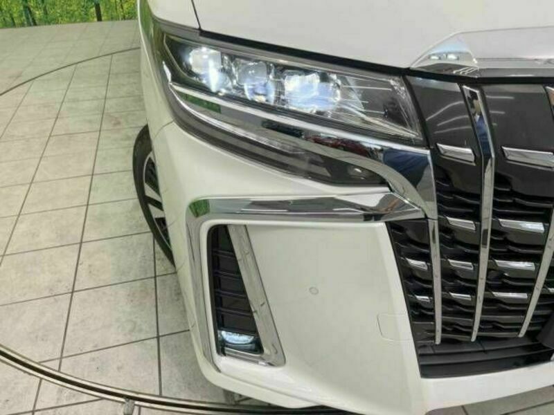 ALPHARD-11