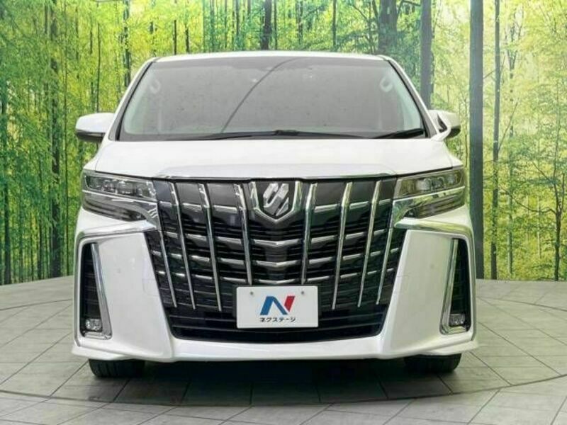 ALPHARD-13