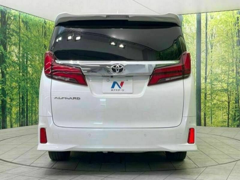 ALPHARD-14