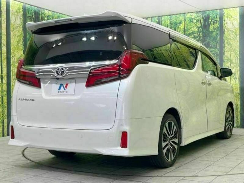 ALPHARD-16