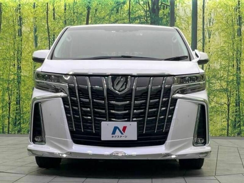 ALPHARD-16