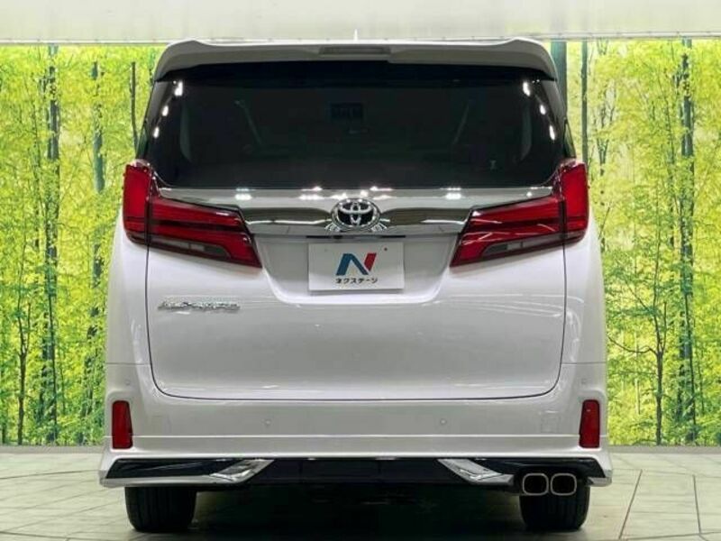 ALPHARD-17