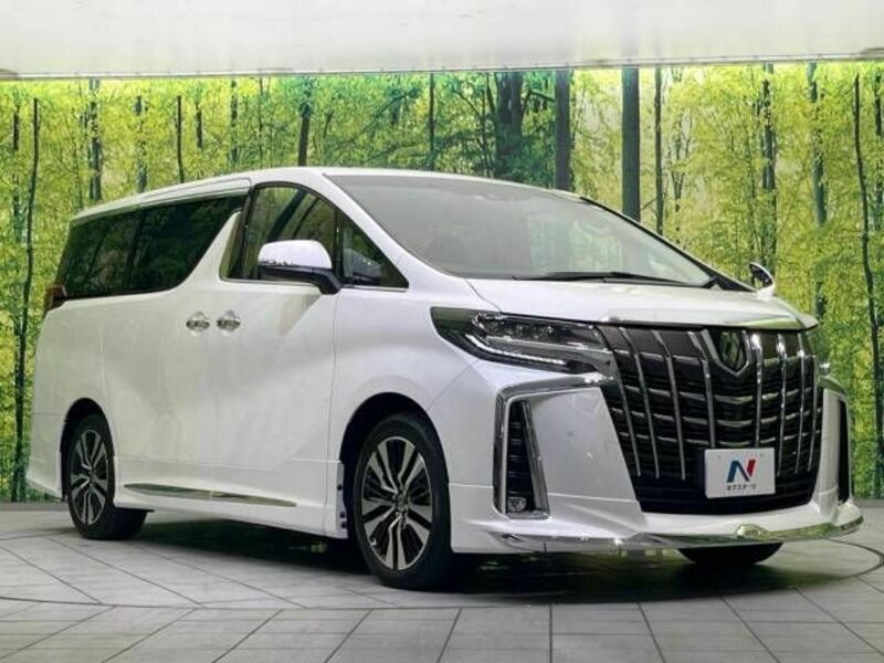 ALPHARD-18