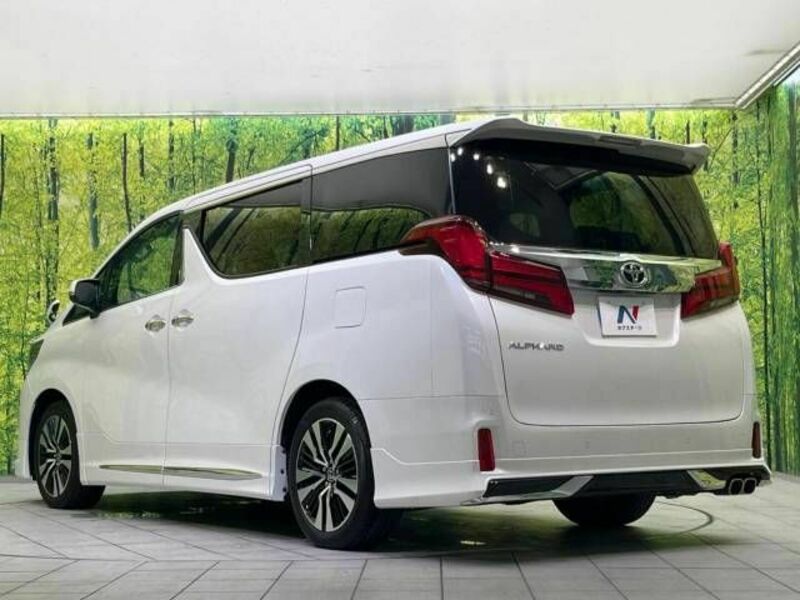 ALPHARD-19