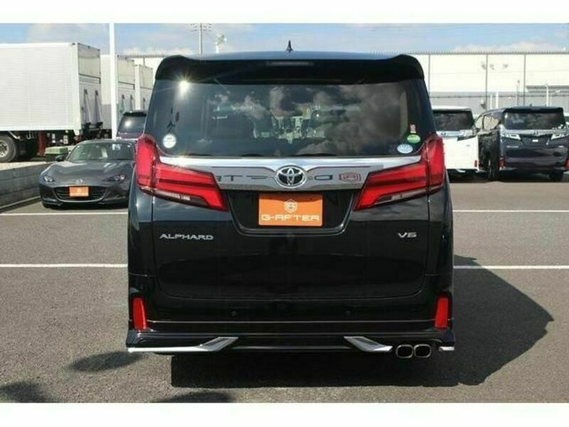 ALPHARD-10