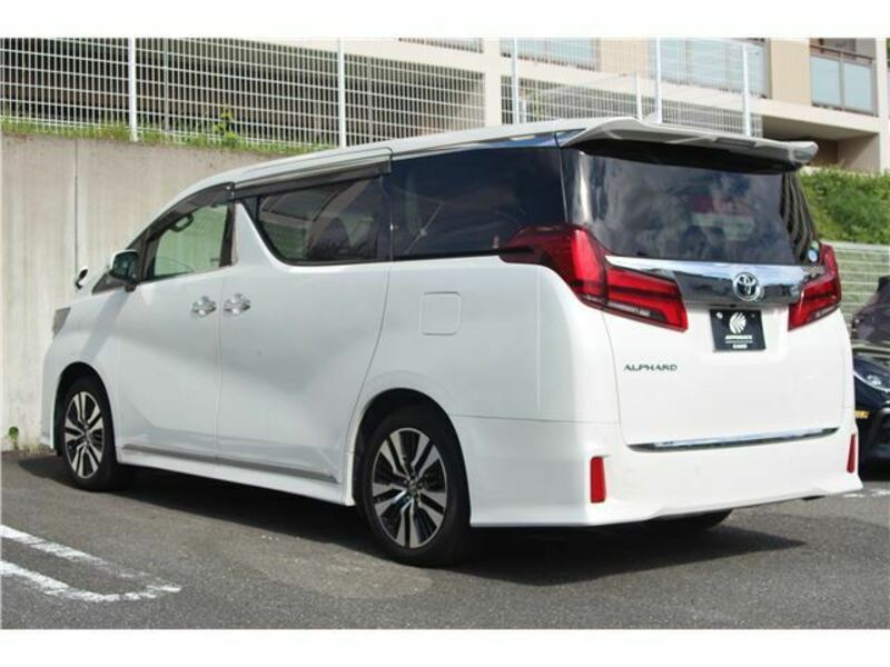 ALPHARD-6