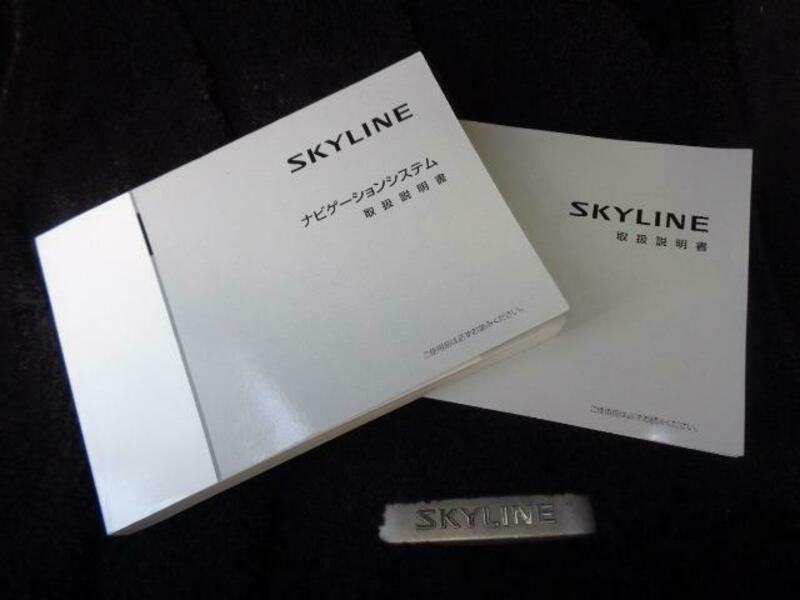 SKYLINE-17