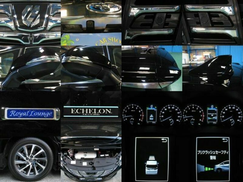 ALPHARD-3