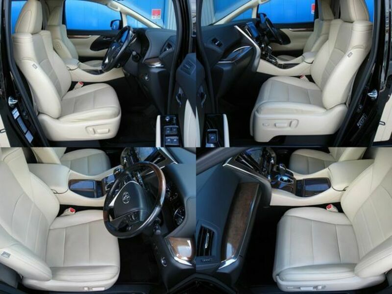 ALPHARD-19