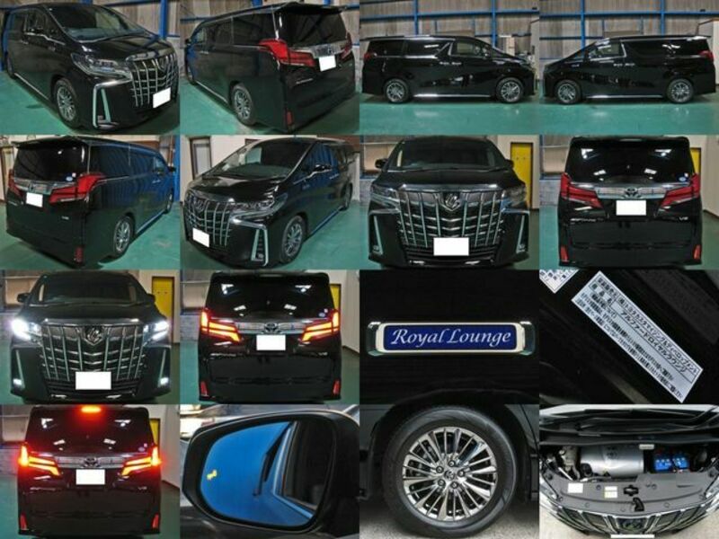 ALPHARD-1